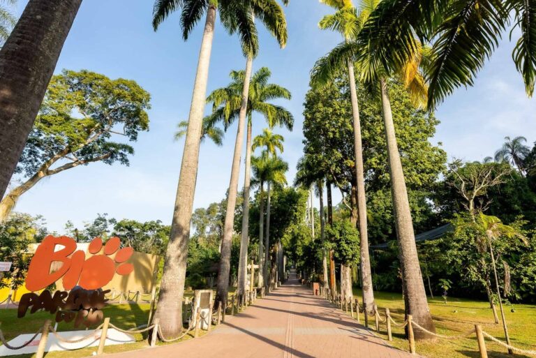 Gripe aviária matou nove galinhas-d'angola no Bioparque do Rio