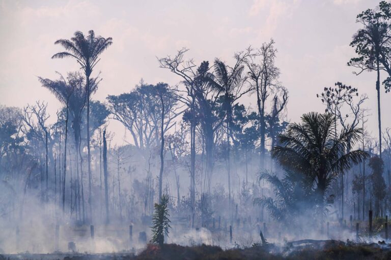 Rodovia BR-319: o novo “acordo” de licenciamento como porta de entrada para a destruição