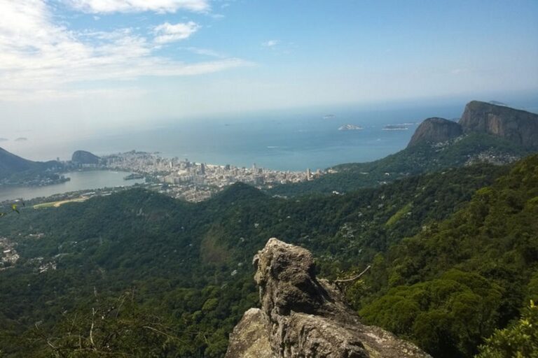 SNUC chega aos 25 anos com motivos para celebrar, defende ambientalista