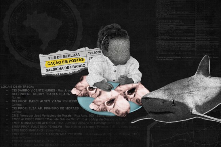 Tubarões ameaçados viram merenda 'contaminada' nas escolas públicas do Brasil