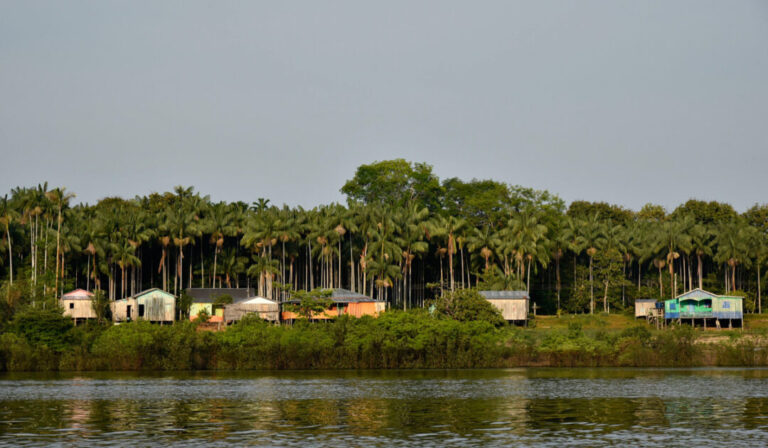 conexão de conhecimentos científico e tradicional