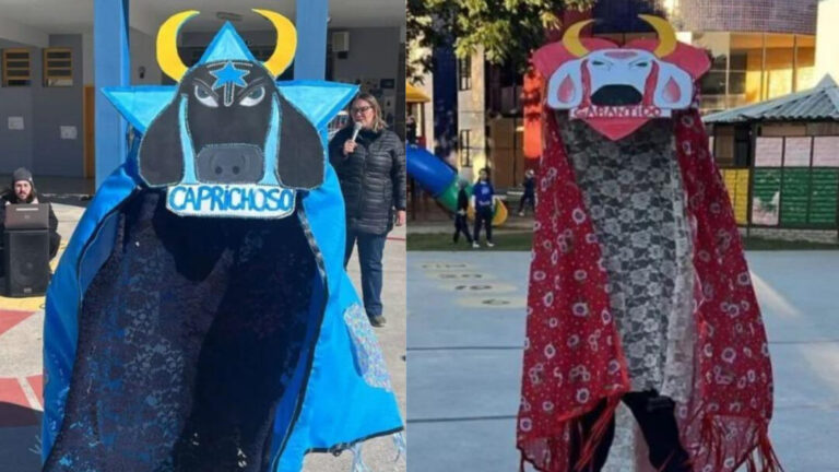 escola do sul prepara homenagem