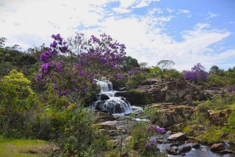 Decisão do governo pode barrar exploração de ferro que ameaçaria águas do Gandarela