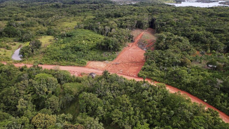 Desmatamento na região Trans-Purus: simulando o impacto das rodovias associadas à BR-319