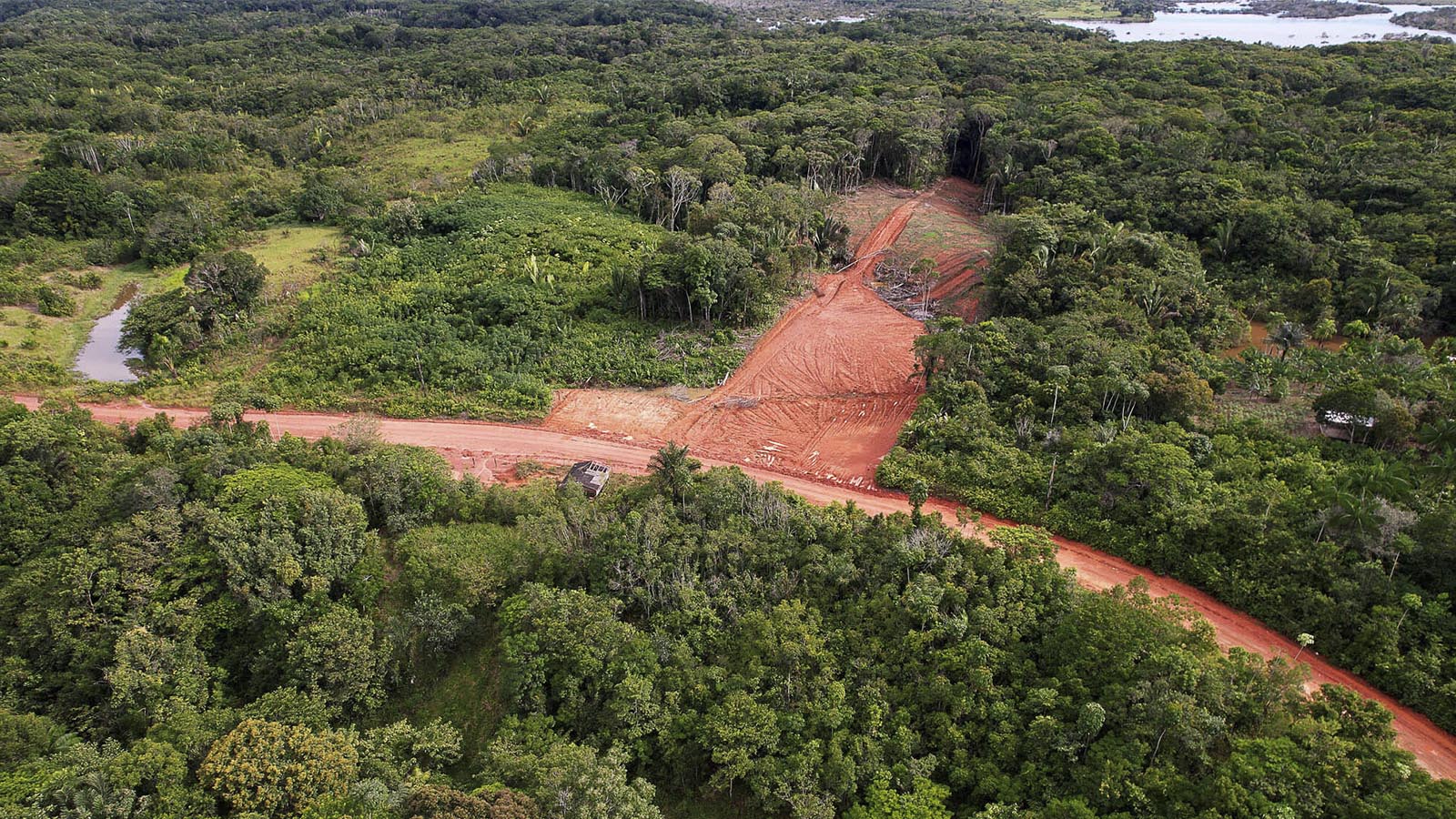 Desmatamento na região Trans-Purus: simulando o impacto das rodovias associadas à BR-319