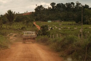 Entre o medo da morte e da fome: reflexos de um conflito longe do fim na Resex Jaci-Paraná (RO)