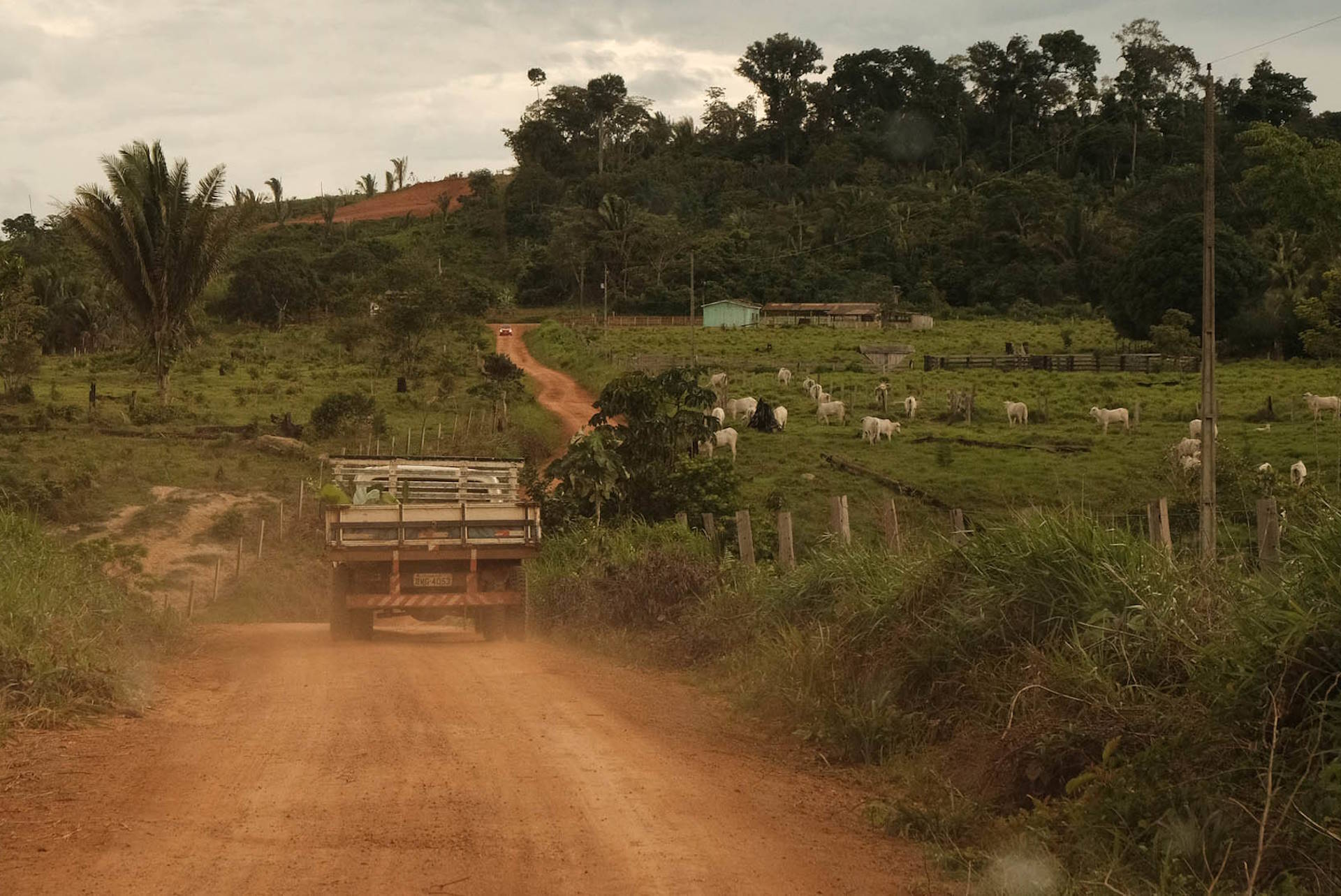 Entre o medo da morte e da fome: reflexos de um conflito longe do fim na Resex Jaci-Paraná (RO)