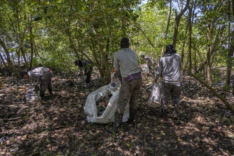 Pescadores e catadores retiram mais de 45 toneladas de resíduos nas baías de Guanabara e Sepetiba, no RJ