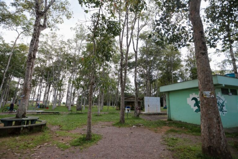 Porto Velho reforça fiscalização ambiental e alerta para punições legais