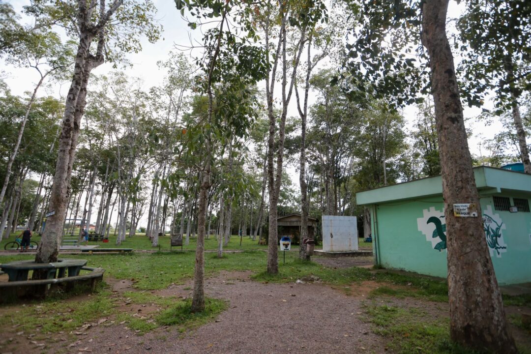 Porto Velho reforça fiscalização ambiental e alerta para punições legais