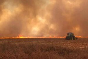 STF realiza audiência sobre ação que responsabiliza governo paulista por queimadas de 2024