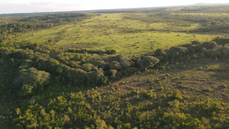 Degradação em áreas não florestais da Amazônia alcança 49 mil km² em dois anos