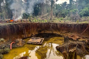 Em quase 8 anos, autuações em UCs federais somam uma Mega da virada