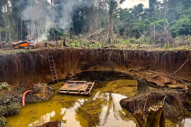 Em quase 8 anos, autuações em UCs federais somam uma Mega da virada