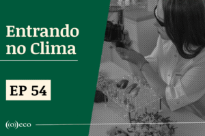 Entrando no Clima #54 – A Ciência na COP30: entrevista com Thelma Krug
