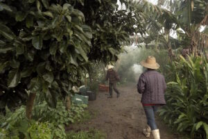 Festival Filmambiente encerra sua 14a edição nesta sexta-feira