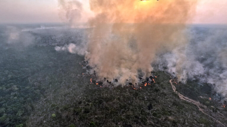 Ignorância estratégica, mudanças climáticas e Amazônia