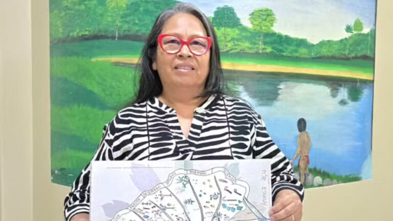 Indígena enviada à COP 30 propõe demarcação de terras