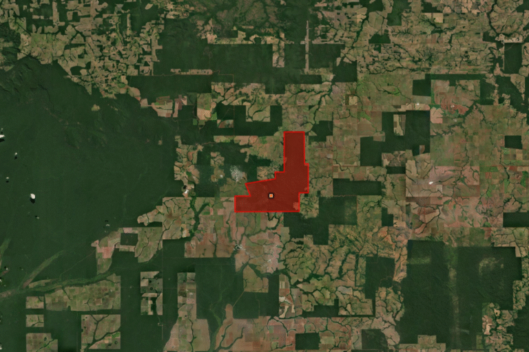 Legado Tanaru: terra de povo indígena dizimado ganha sinal verde para virar parque