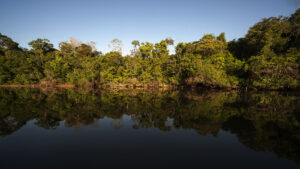 Passando a boiada ameaça áreas protegidas – 2: O Parque Estadual do Cristalino em Mato Grosso