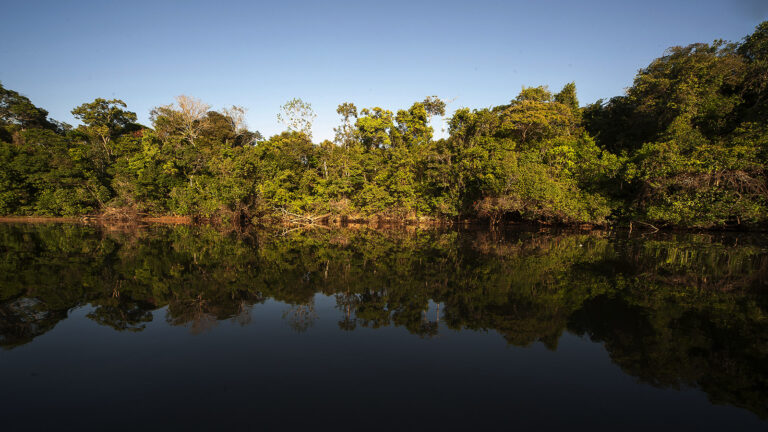 Passando a boiada ameaça áreas protegidas – 2: O Parque Estadual do Cristalino em Mato Grosso