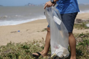 Projeto Coral Vivo prepara mutirões no Dia Mundial da Limpeza 2025