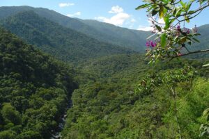 Projeto de lei que reduzia Parque Nacional do Itatiaia é arquivado