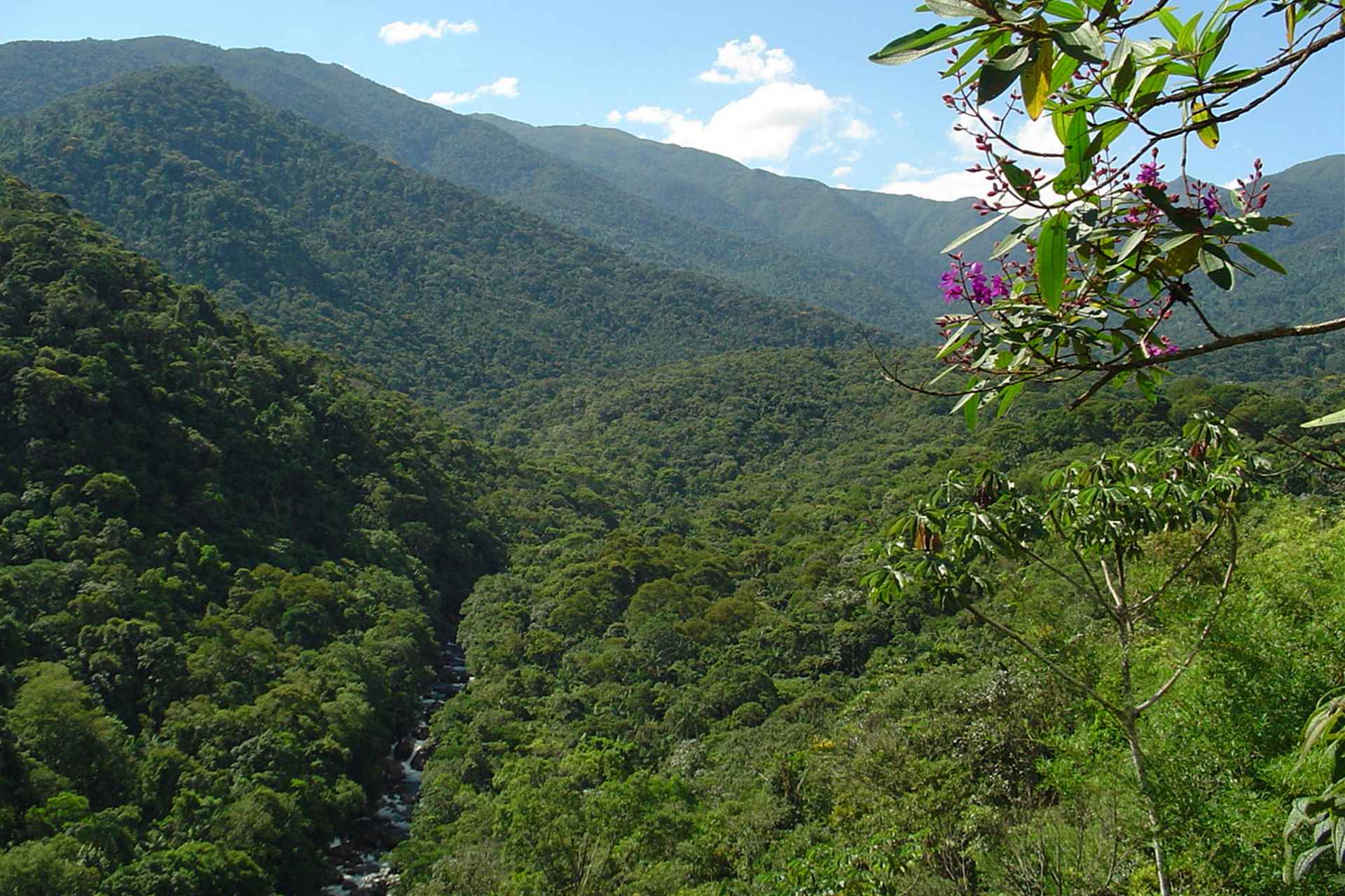 Projeto de lei que reduzia Parque Nacional do Itatiaia é arquivado