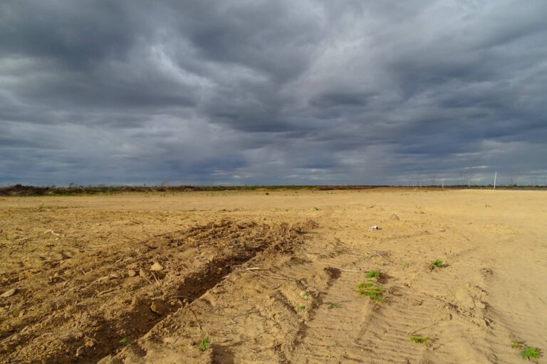 Recorde de desmatamento na Caatinga atinge terras ligadas ao caso Boi Gordo