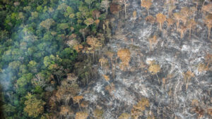 Riscos para a Amazônia da pavimentação da rodovia Manaus-Porto Velho