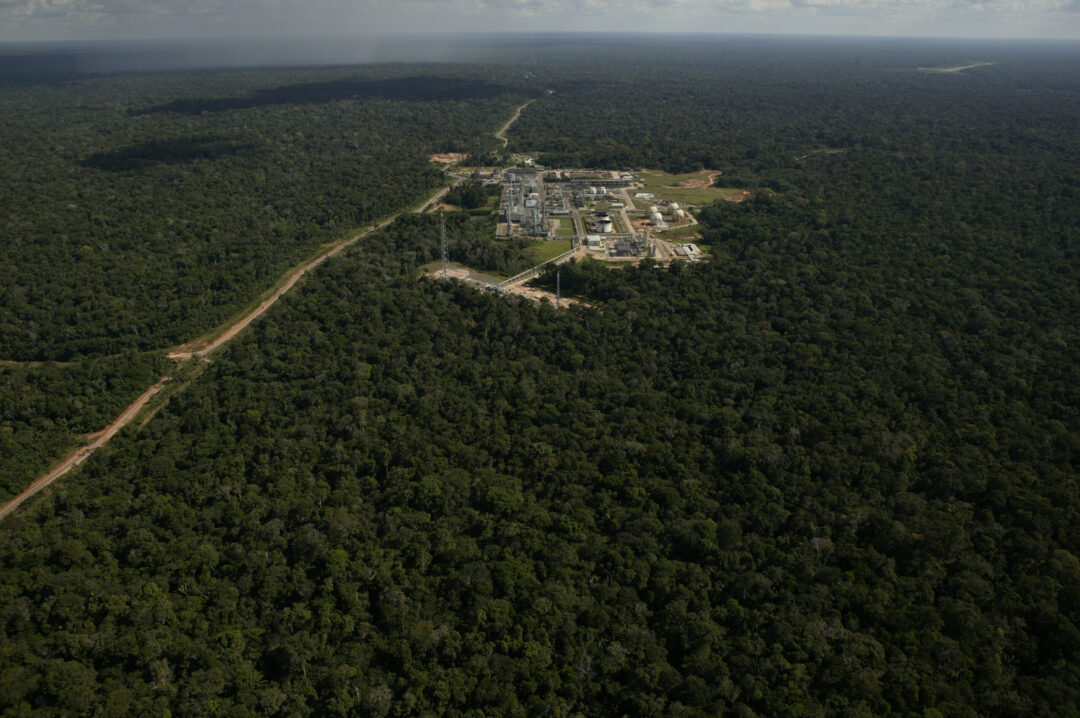 STF invalida parte de lei do Amazonas