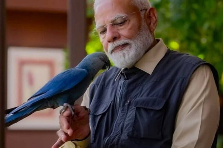 Suprema Corte da Índia mira megazoo suspeito de tráfico global de animais