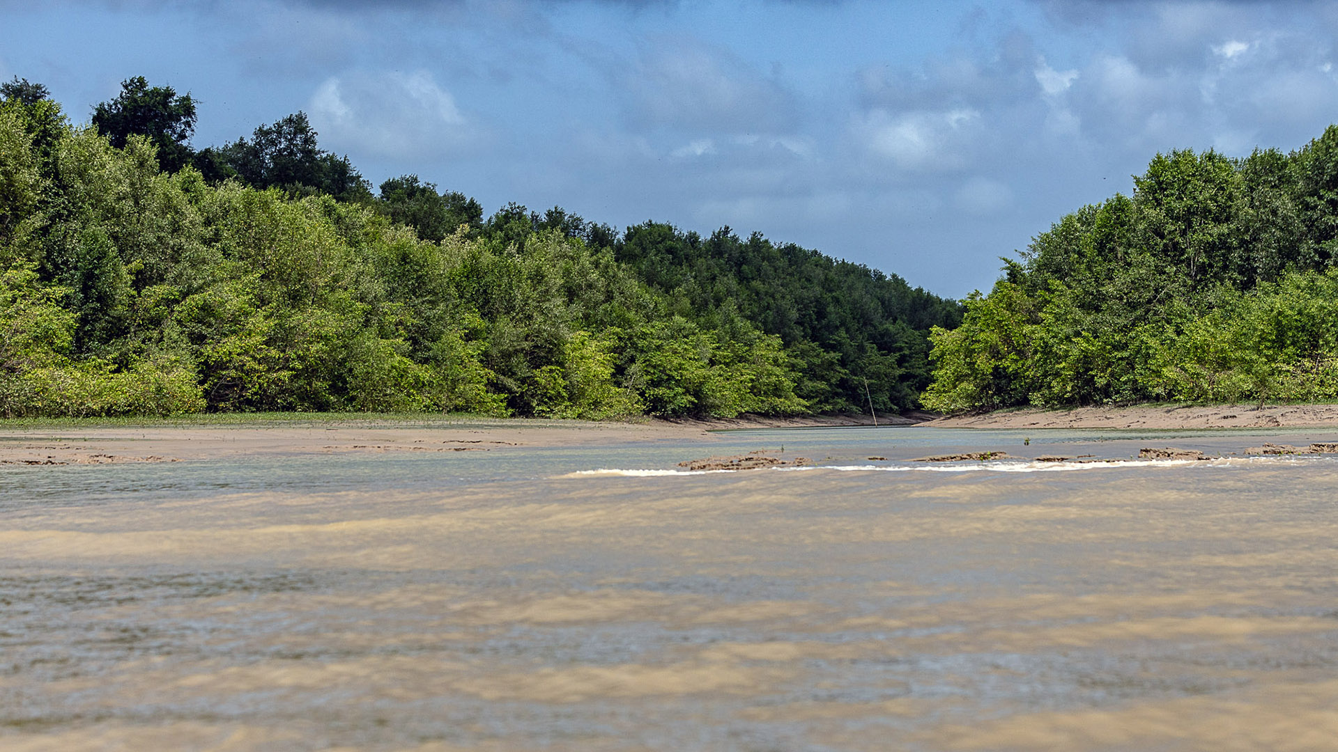A exploração petrolífera na Foz do Amazonas e os paradoxos da transição energética brasileira