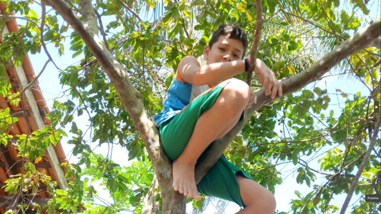 Anjos para o Amanhã - Amazônia Real