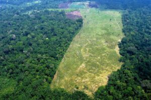 Após pressão, Congresso decide adiar análise sobre vetos de Lula ao PL do Licenciamento