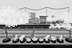 Belém da COP30 ainda nega saneamento e áreas verdes às suas periferias