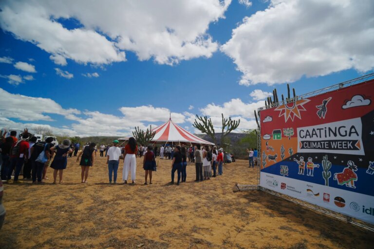 Da Serra da Capivara ao Catimbau: lições de resistência do semiárido brasileiro