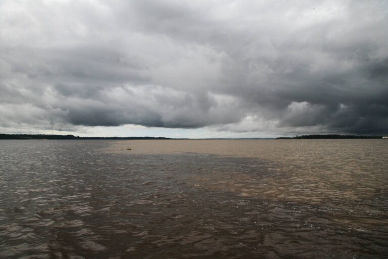 Desinformação climática explode nas redes e mira a COP30, em novembro