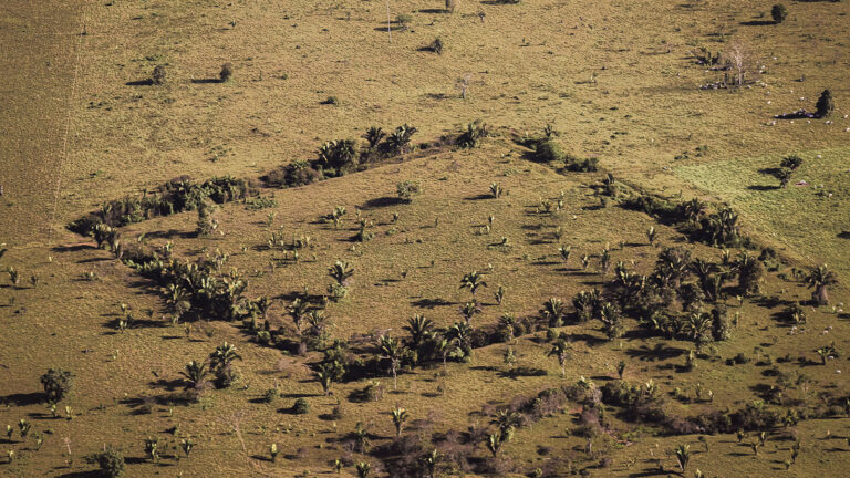 Geoglifos da Amazônia podem ser vistos em exposição em Manaus