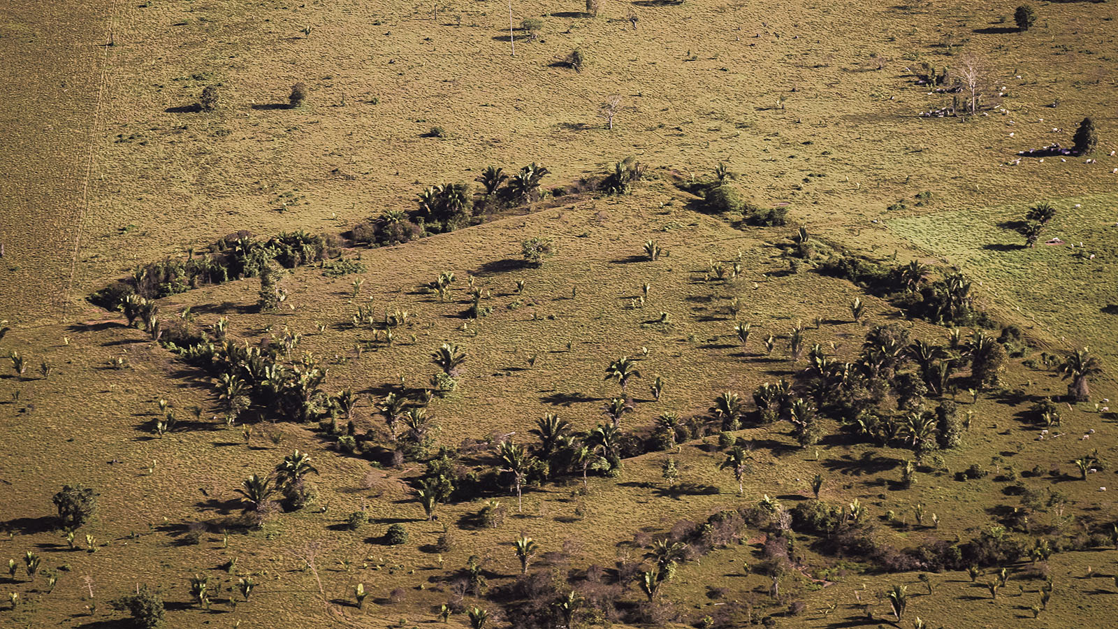 Geoglifos da Amazônia podem ser vistos em exposição em Manaus