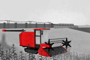 Na Amazônia desmatada, Xingu tenta superar contrastes sociais desde Belo Monte