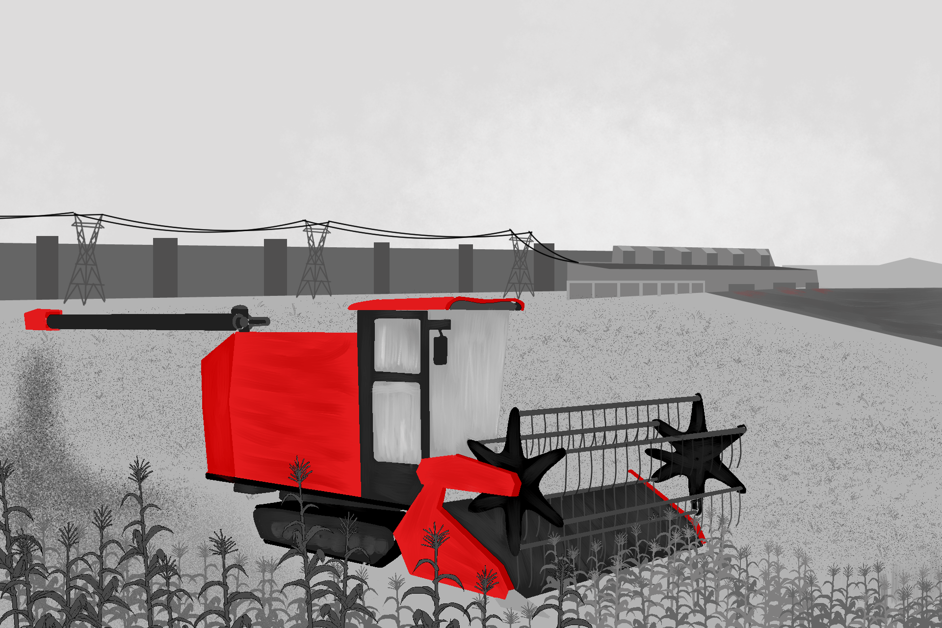 Na Amazônia desmatada, Xingu tenta superar contrastes sociais desde Belo Monte