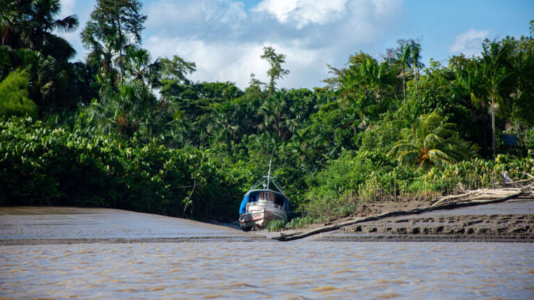 Não há espaço para mais petróleo na Amazônia