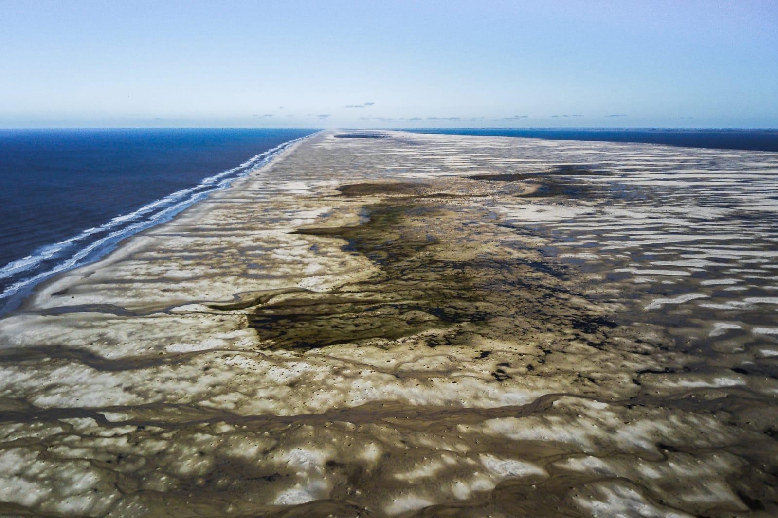 Organizações ambientais se juntam em coalizão pela defesa dos oceanos