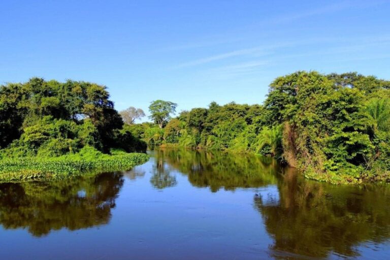 Organizações cobram protagonismo das áreas úmidas na COP30