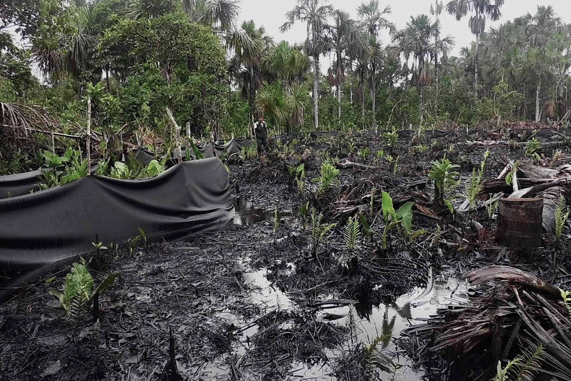 Parlamentares de sete países querem barrar novas explorações de petróleo na Amazônia