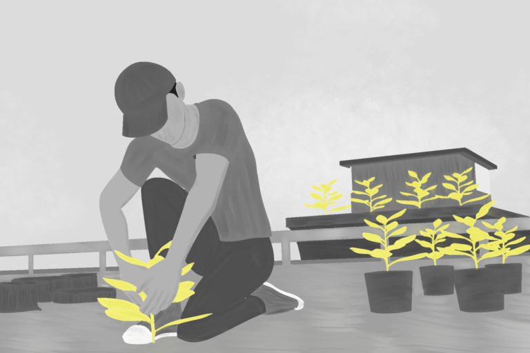 Portel: De campeão de extração a líder em redução de desmatamento