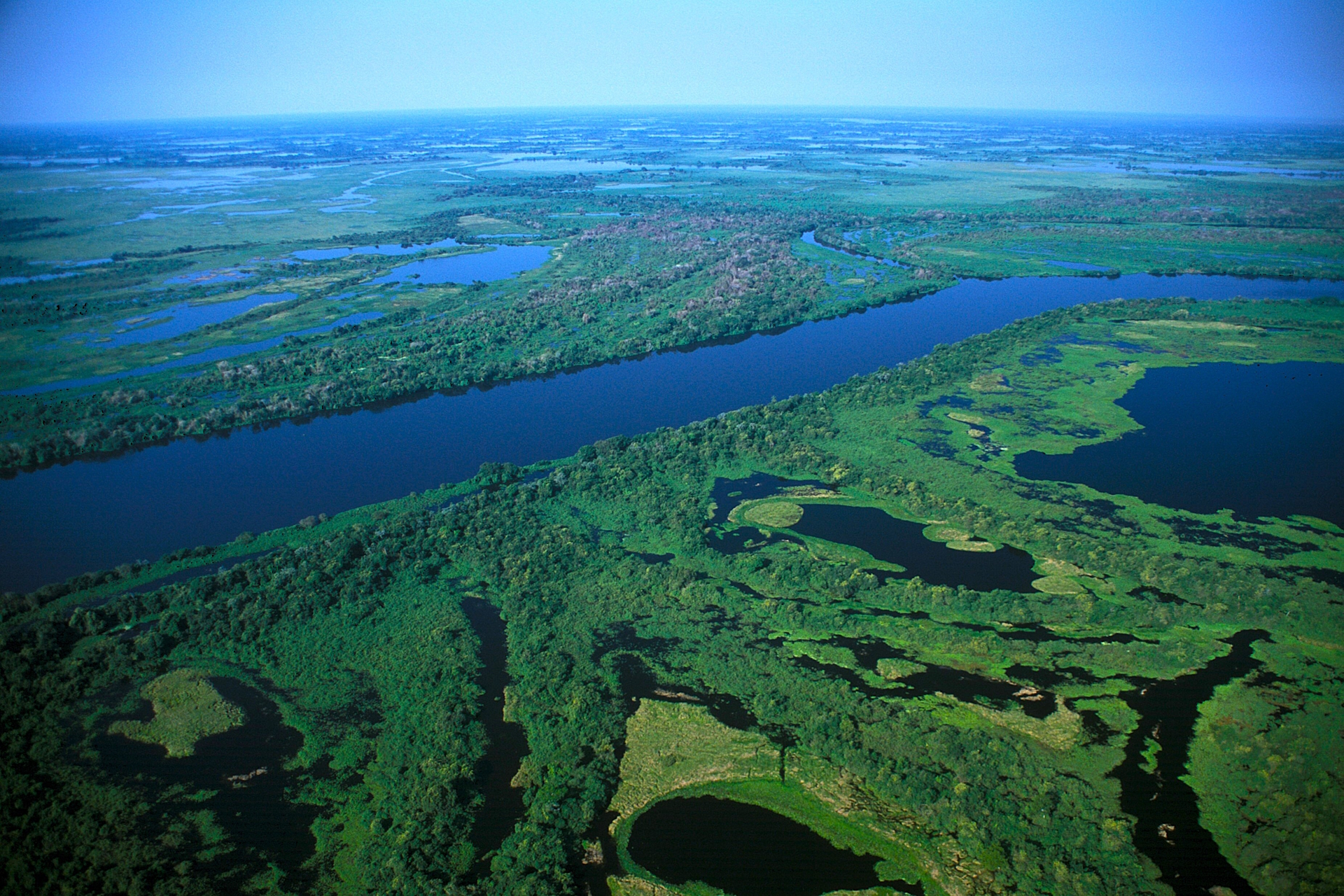 Projeto na Câmara quer fechar brechas do Estatuto do Pantanal