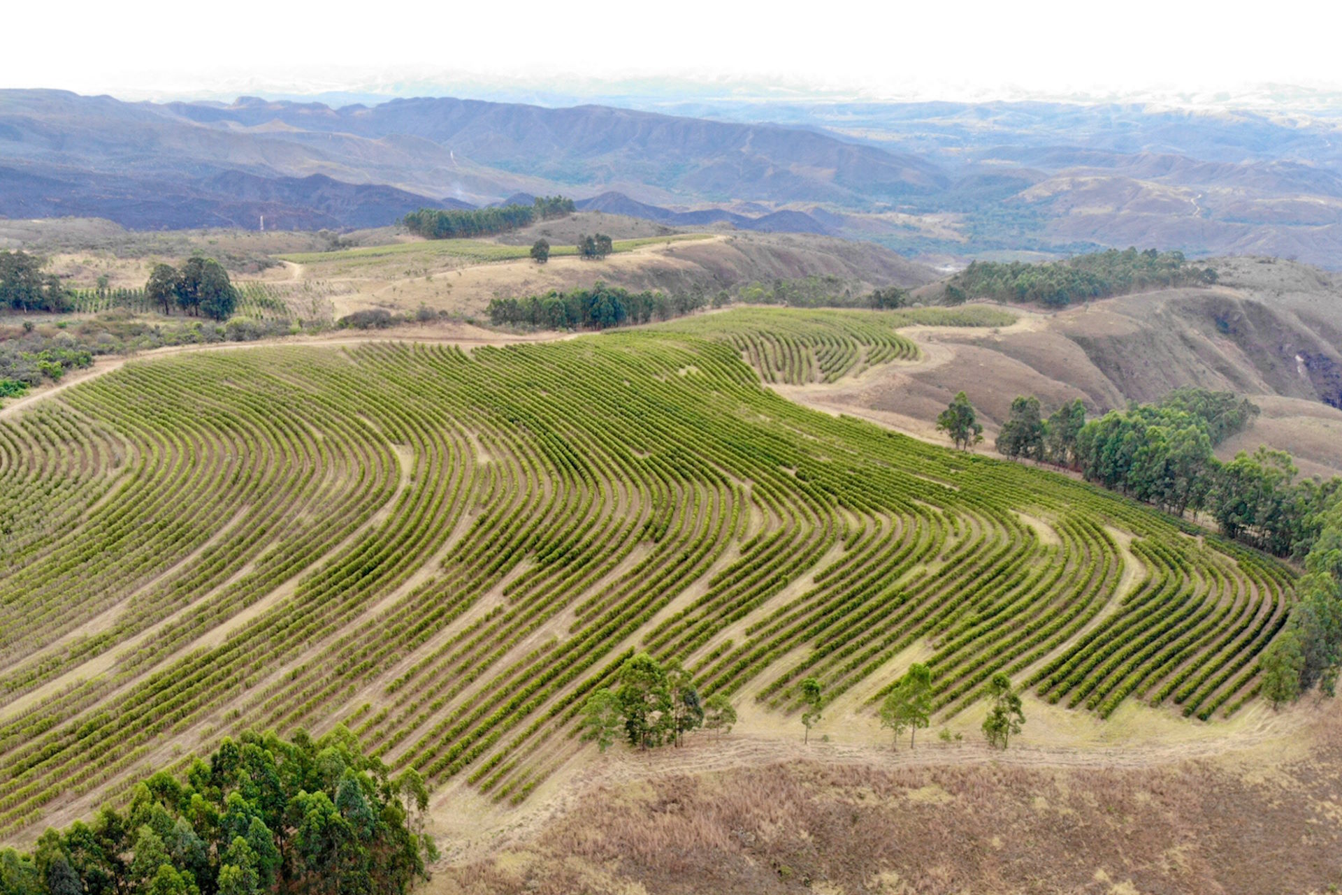 Suspensão do georreferenciamento de imóveis rurais ‘abre porta’ para a grilagem, alertam especialistas