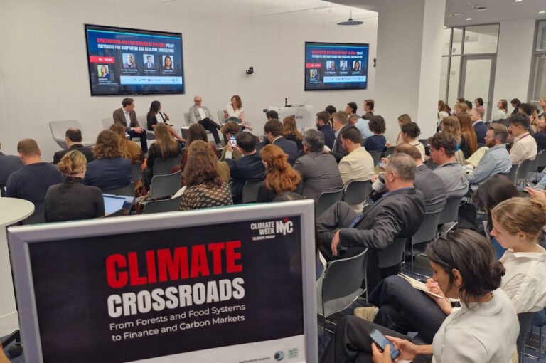 Why I returned from New York with more hope than I expected